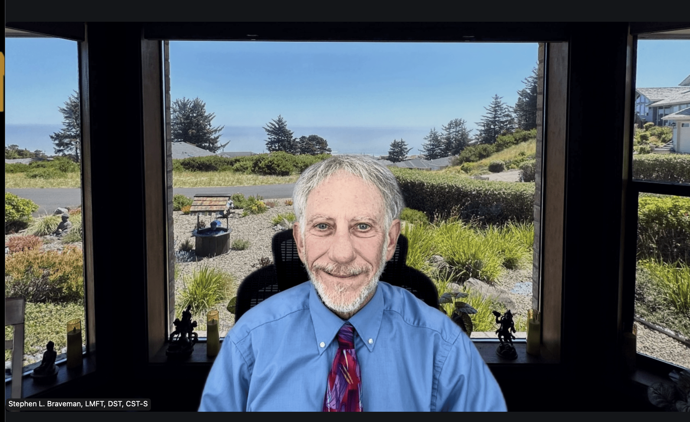 Stephen L. Braveman